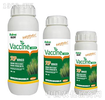 ���oֲ������С������-�J�~��