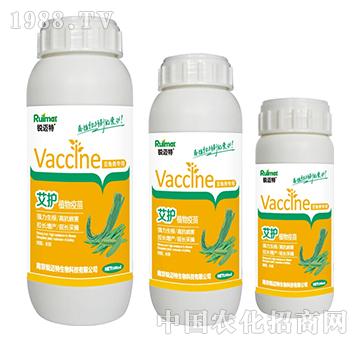 ���oֲ�����綹�ǌ���-�J�~��