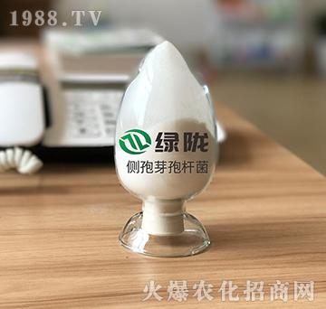 ��(c��)�߶�ѿ�ߗU��-�G�]����