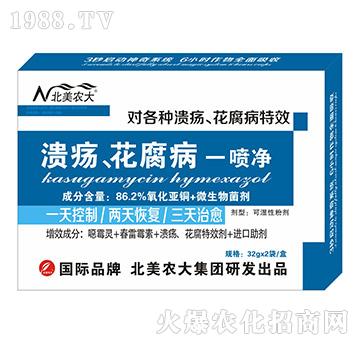 ������������һ����-�����r(n��ng)��