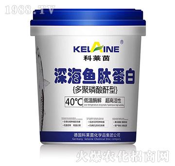 ��~(y��)����-���R��-�W���r(n��ng)�I(y��)