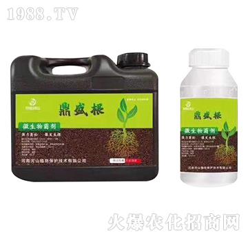 ����������-��ʢ��-��ʢ��ɽ