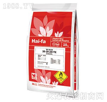 �ߝ�s��(f��)�Ϸ���20-20-20+TE-������ħ����-���ͷ�