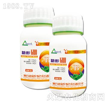 �Ǵ���-��������