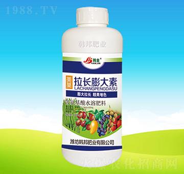 �������L(zh��ng)�����-�n��ʘI(y��)