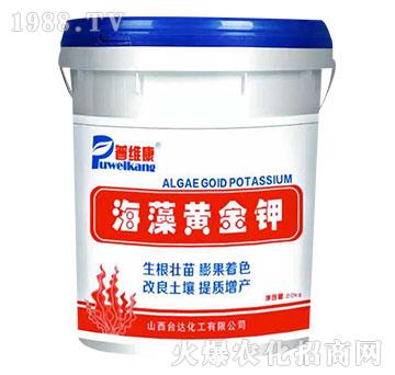 �����S���-�վS��-�_�_