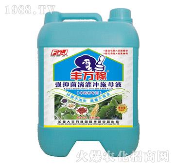 ��ˎ�Č��Ï�(qi��ng)�־��ι��_ʩĸҺ-�S�f(w��n)��