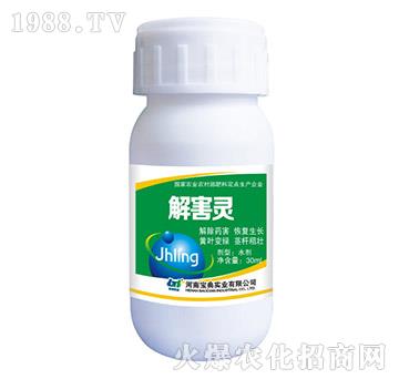 �⺦�`-���䌍�I(y��)