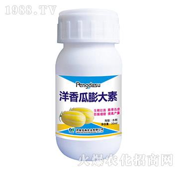 ����������-���䌍�I(y��)