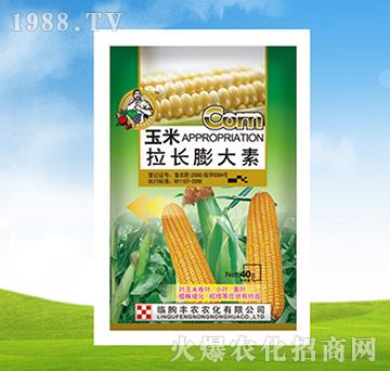 �������L(zh��ng)�����-�S�r(n��ng)�r(n��ng)��