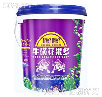 ���ǻ�����-�@��Ԫ