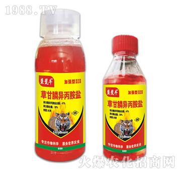 41%�ݸ�좮������}-����ţ-�ݵ�˹