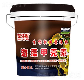 ����ך���-���A����