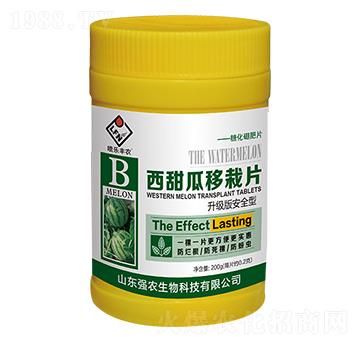 ���������Ƭ-��(qi��ng)�r(n��ng)����