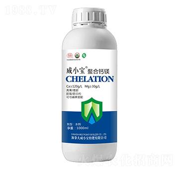 �����}�V-��С��-��巉�(m��ng)