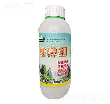 �Ǵ���-����ʢ��-�����S