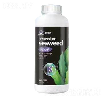 ����� Ħ����