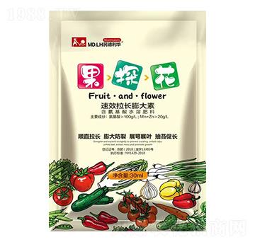 ���L(zh��ng)�����-��̽��-������A