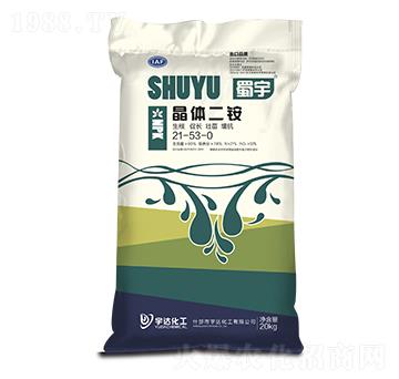 ���w���@21-53-0 ���� ���_����