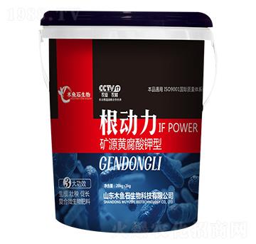 �VԴ�S�������-����(d��ng)��-ľ�~(y��)ʯ����