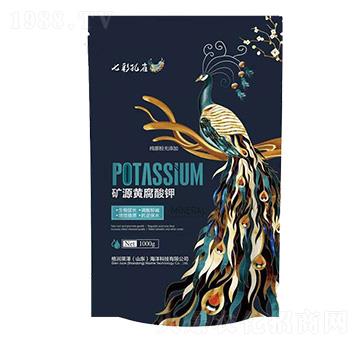 �VԴ�S�����-�߲ʿ�ȸ-���R��