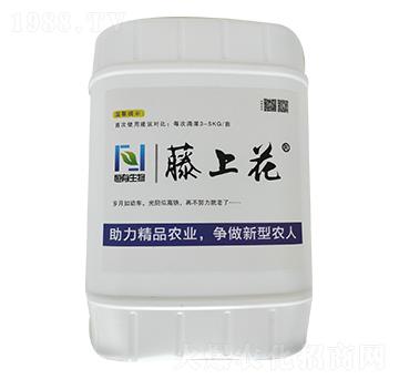 ��(f��)��΢�������-���ϻ�-��������