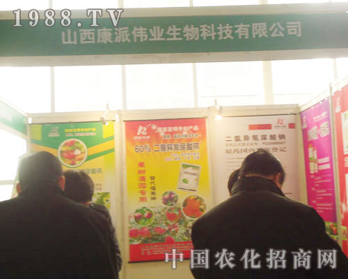 ɽ�����ɂ��I(y��)-2011ʯ���fֲ����(hu��)����չλ