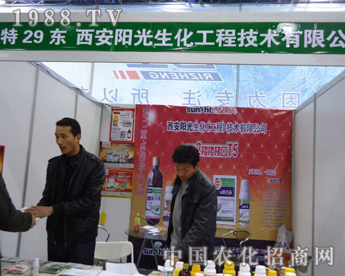 ���ꖹ������ںӱ�ʡֲ��������������