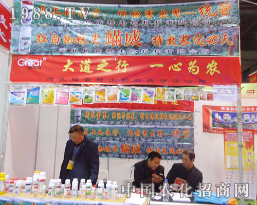 �����������ںӱ�ʡֲ��������������