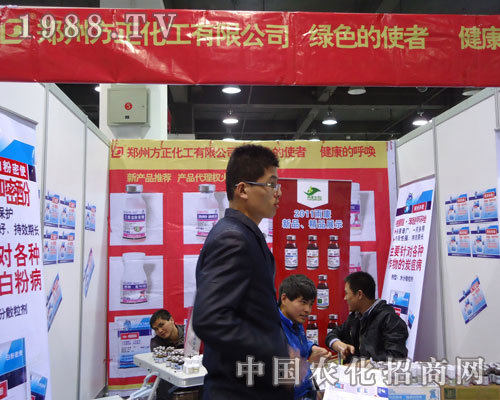 ���ݷ��������ںӱ�ʡֲ��������������