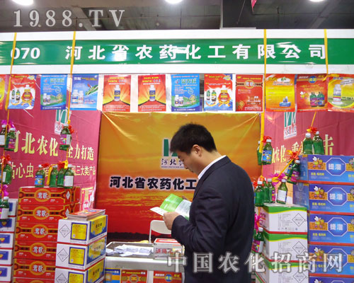 �ӱ�ʡ�rˎ�����ںӱ�ʡֲ��������������