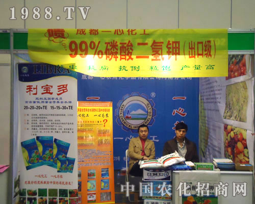 �ɶ���һ�Ļ����ں��Ϸ����p��������