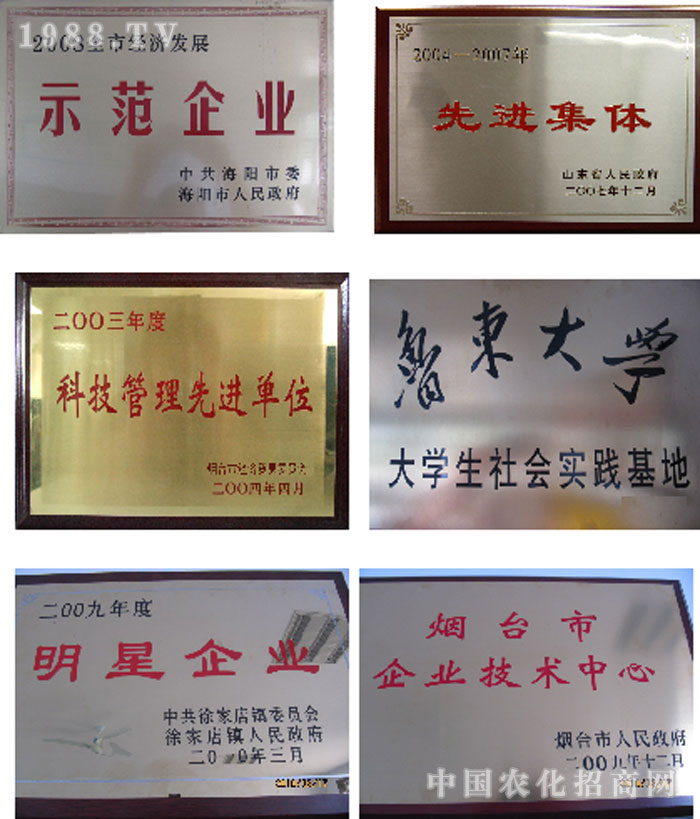 ���_(t��i)�嵤�(y��ng)ˎ�I(y��)���޹�˾