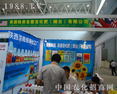 ʥ�������R���½��r�Y��