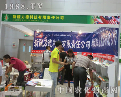 �½����¹�˾�����½��r(n��ng)����