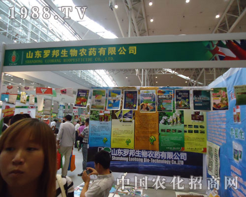 ɽ�|�_������y���½��r(n��ng)����(hu��)����(chu��ng)�x��