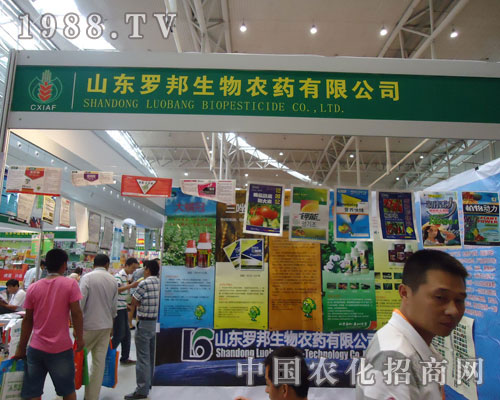 ɽ�|�_������y���½��r(n��ng)����(hu��)����(chu��ng)�x��