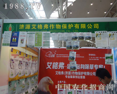 ���񸥡������N�����݌�����