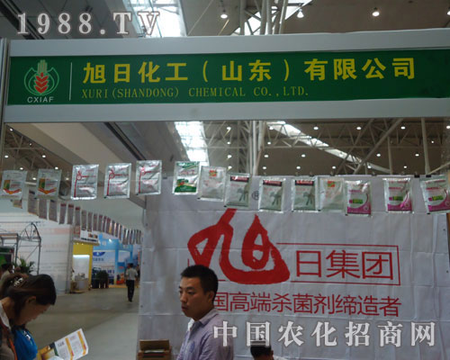 ����ˎ��������!