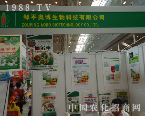 �x���ˊW�������������x���˳ɹ�֮·