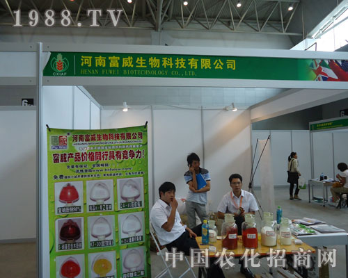 ���ϸ�������Ƽ������\(ch��ng)�Q��(l��i)Ч��