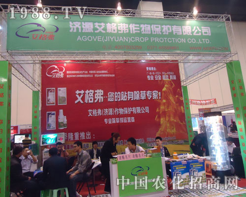 ���������N�����݌�����