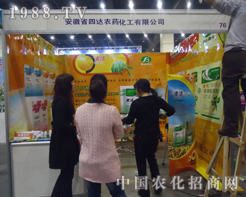 ���_(d��)�������ɿ�