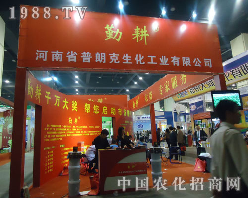 ���ʿ˵�������r(n��ng)ˎ��