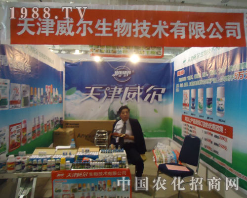 ��������������S�̹��Aƽ�_(t��i)