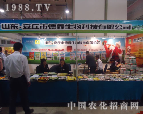 �����е���������ϏS����S�̹��Aƽ�_(t��i)