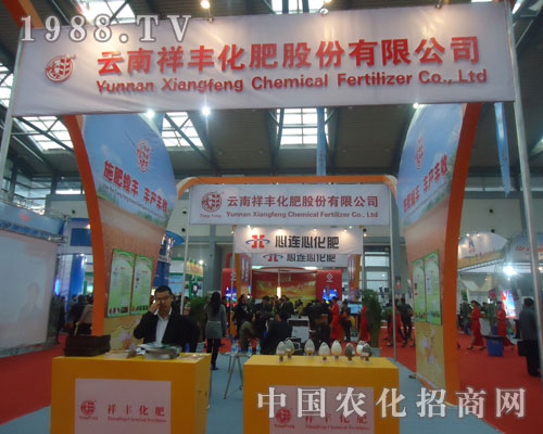 �Ї��׏ͷ�չ�[�����������S���ʴ��@����