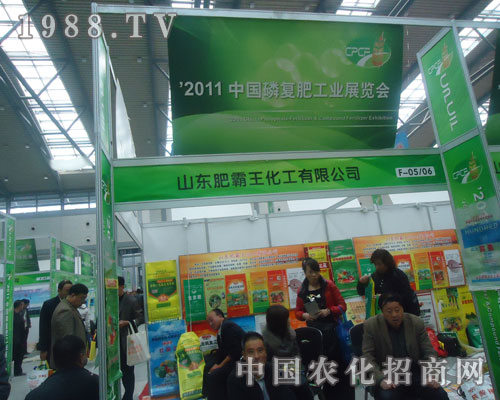 �ʰ���������2011�������׏ͷʕ������