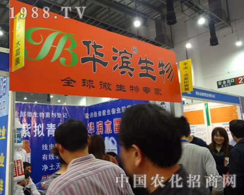 �A�I������΢�����