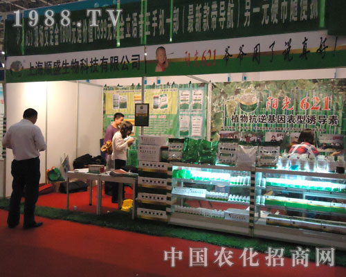 �Ϻ��ʢ����2011�r(n��ng)ˎֲ����(hu��)���ķ�